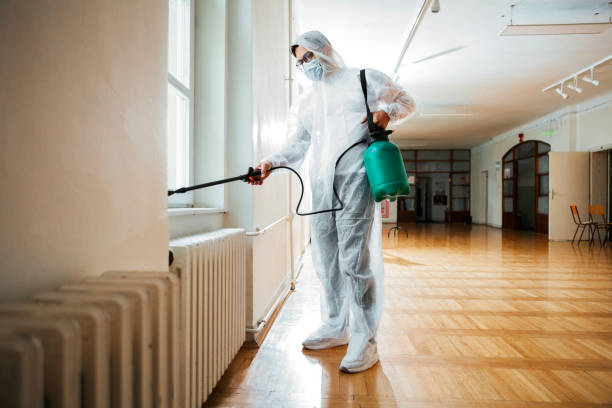 Flea Control Services in Dawson Springs, KY