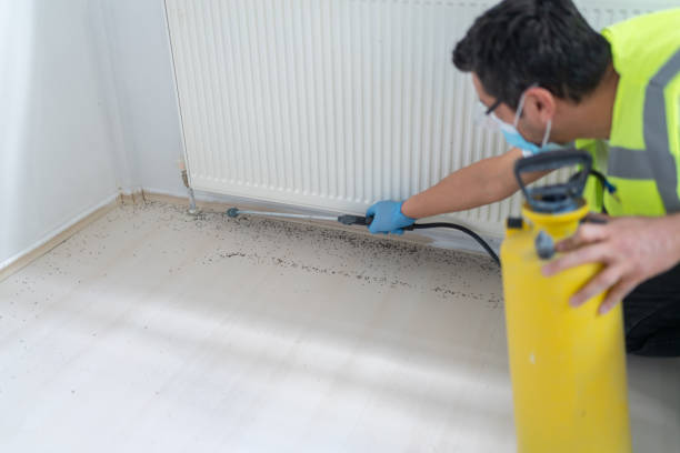 Best Affordable Pest Control Services  in Dawson Springs, KY