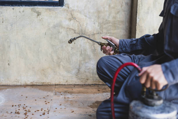 Best Emergency Pest Control  in Dawson Springs, KY